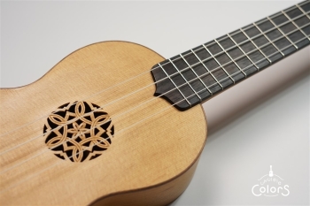 ukulele concert 14 FA.S